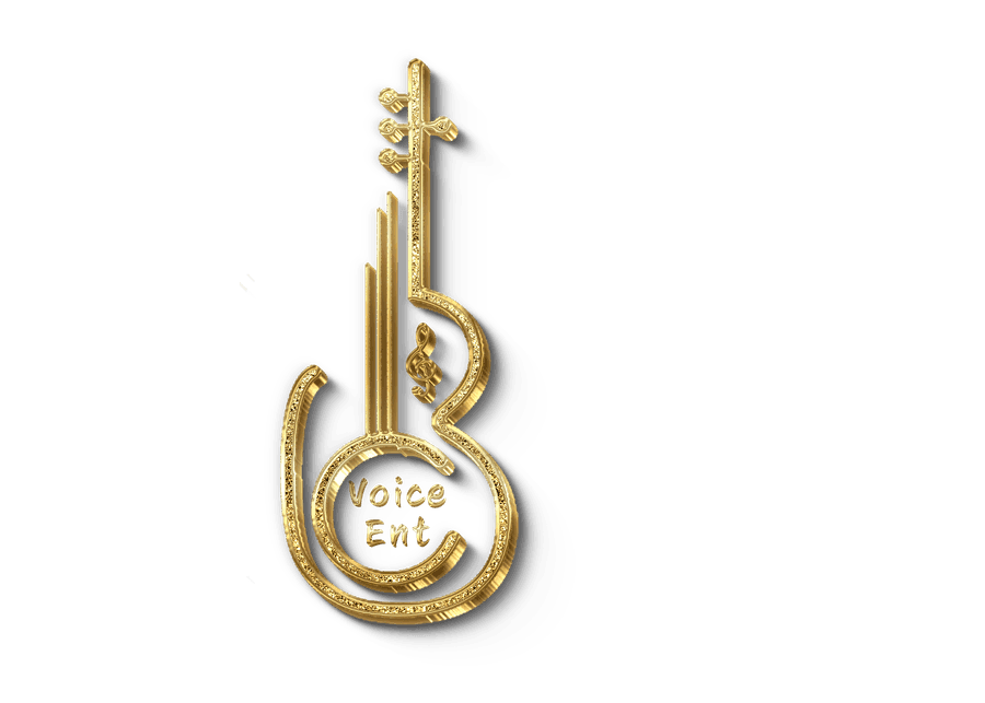 BC Voice Entertainment logo